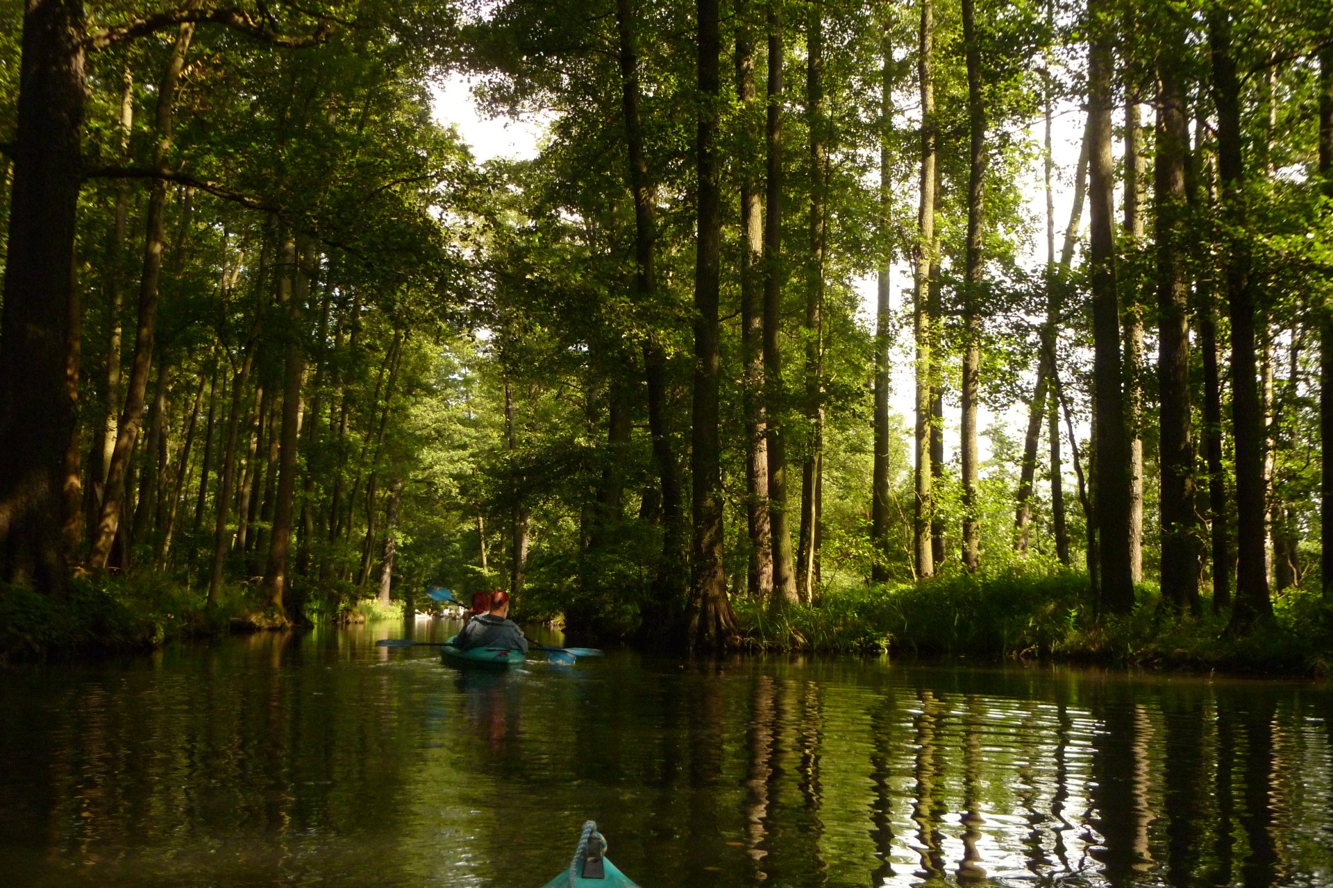 Spreewald